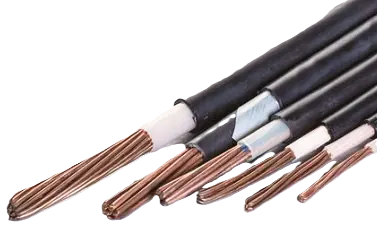 Cable
